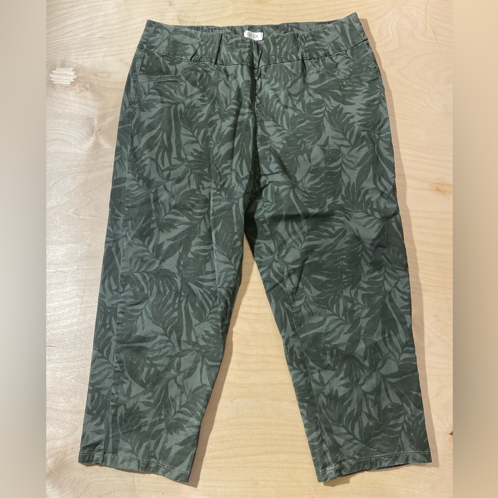 Style & Co Green Leaf Print Capris 16 (MY) - Picture 3 of 8